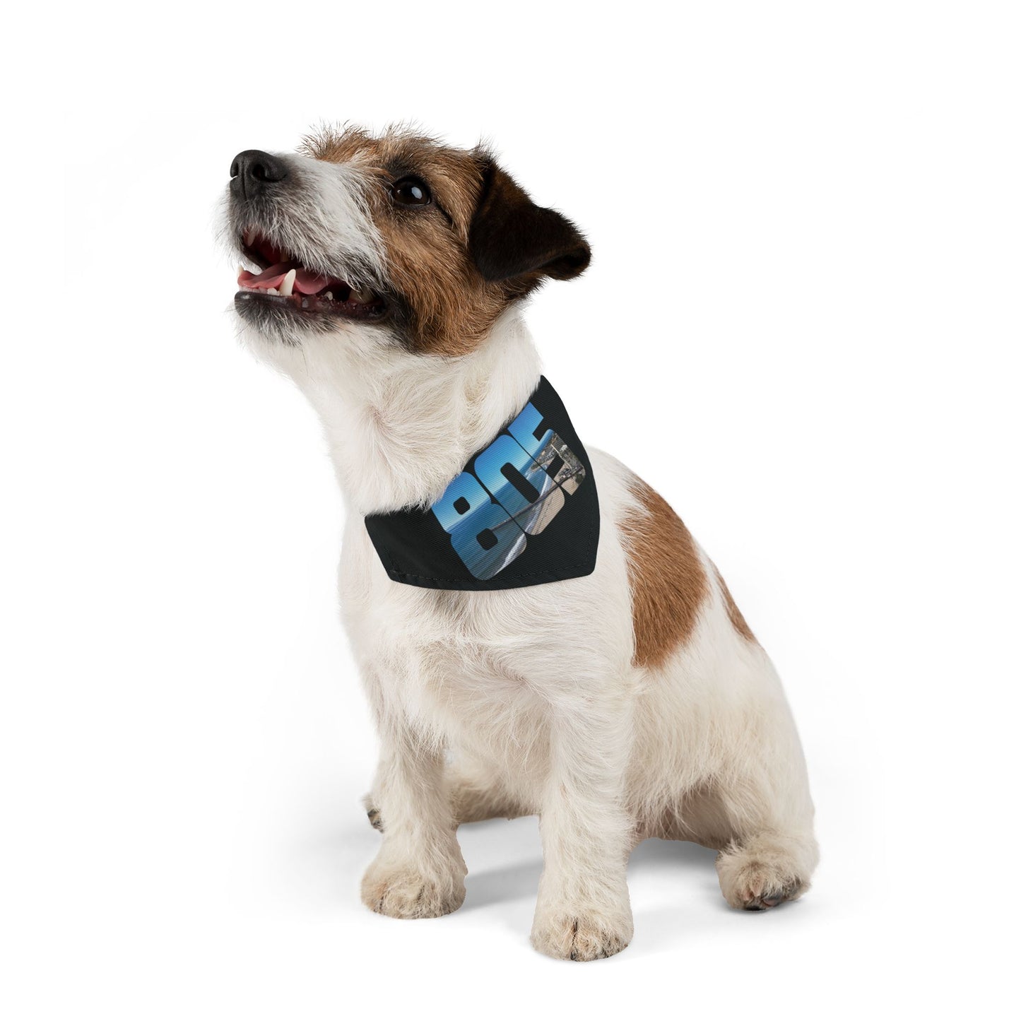 805 Blue Skies Pet Bandana Collar