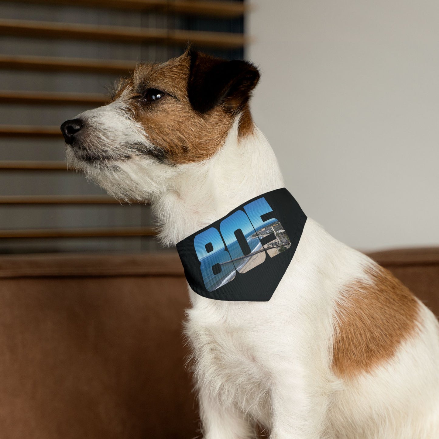 805 Blue Skies Pet Bandana Collar